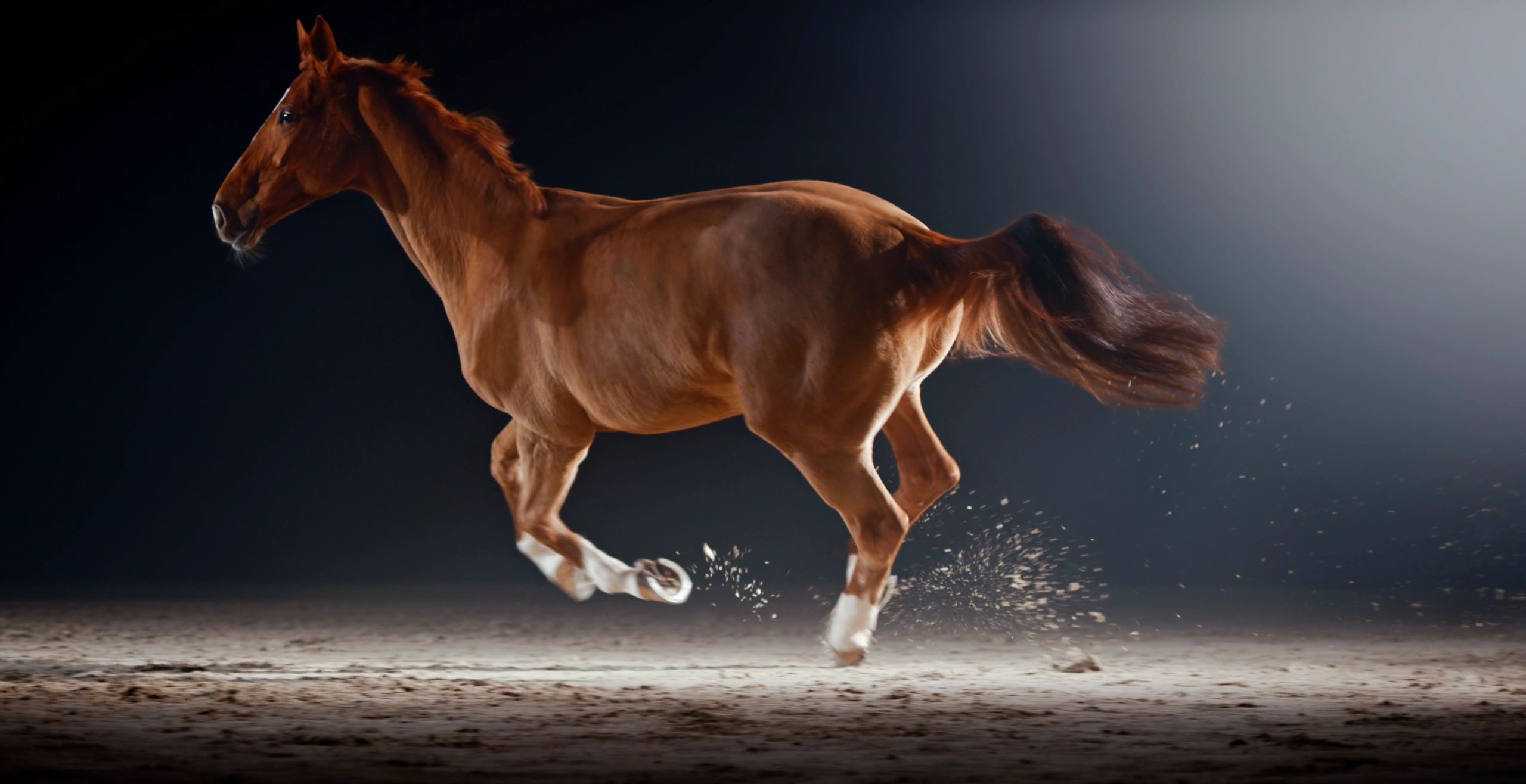 runway model fire horse year