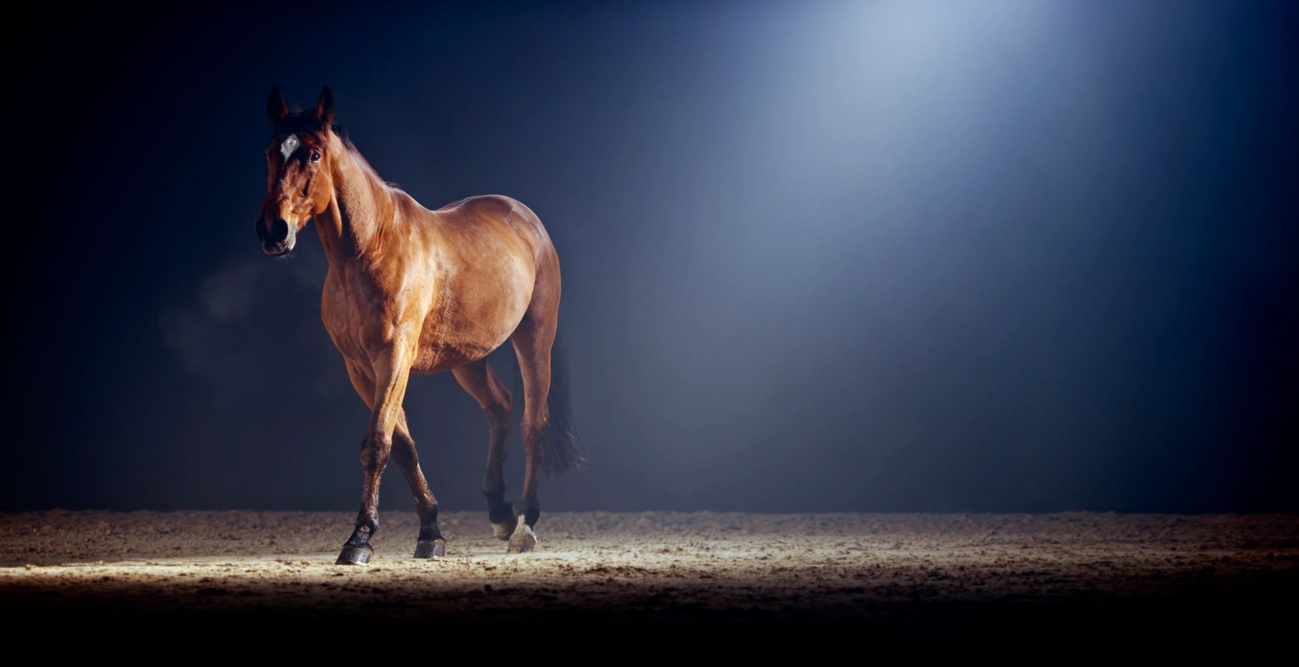 runway model fire horse year
